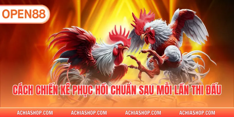 Cách chiến kê phục hồi chuẩn sau mỗi lần thi đấu