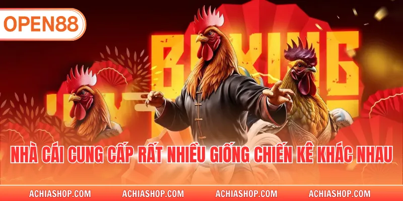 Nhà cái cung cấp rất nhiều giống chiến kê khác nhau